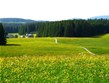 Německo - Schwarzwald