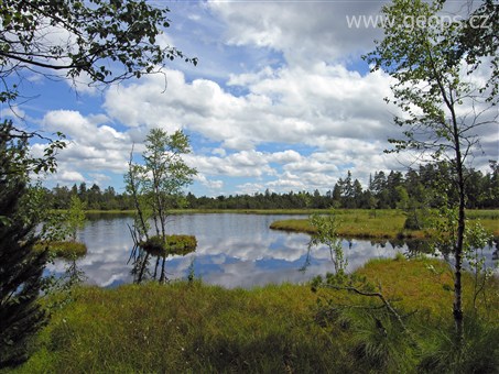 Zájezdy s turistikou - Německo - Schwarzwald - Kaltenbronn Wildsee