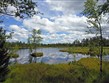Národní parky a zahrady - Německo - Schwarzwald - Kaltenbronn Wildsee