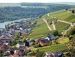 slavnosti vína a gastronomie - Lucembursko - vinice na svazích nad Moselou