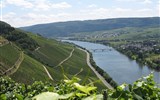 Údolí Mosely - Německo - údolí řeky Mosely s vinicemi
