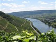 slavnosti vína a gastronomie - Německo - údolí řeky Mosely s vinicemi