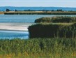 Rakousko - národní park Neusiedler See - Illmitz, nejníže položená oblast Rakouska