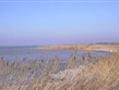 Rakousko - národní park Neusiedler See - Illmitz, typické jsou jezírka a solná jezírka s rozsáhlými porosty rákosin