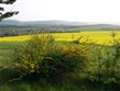 Německo - Harz - Timmerode