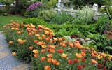 květinové slavnosti - Rakousko - Tulln - zahrady