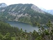 Rakousko - Kalkalpen - Tauplitzalm, porosty kosodřeviny nad jezerem Steirersee