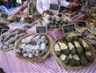 Do přírody pod stan - Francie - Aix-en-Provence - vynikající uzeniny od drobných výrobců, žádný supermarket