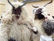 Maďarsko - Moháč - slavnosti Busójárás, masky symbolizují plodivou sílu Přírody