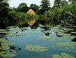 Německo - Spreewald a klid vodní hladiny