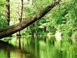 Německo - Spreewald, oblast protkaná sítí malých kanálů