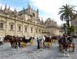 Eurovíkendy - Španělsko - Andalusie - Sevilla, katedrála (1401-1536) a koňské kočáry na Plaza Virgen de los Reyes