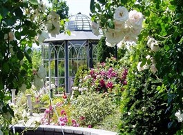 Zahradnický veletrh v Tullnu, Krems, zámek Rosenburg a Kittenberské zahrady 2022  Rakousko - Kittenberské zahrady - Růžová zahrada