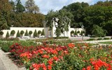 Slavnost růží v Badenu a Schönbrunn - Rakousko - Baden - Rosarium, na ploše více než 90.000 m² se nachází cca 600 různých druhů růží
