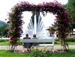 Německo - Bavorsko - Bad Kissingen - Rosengarten