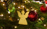 Advent v korunách stromů a Bavorský les - Německo - Bavorsko - Pasov a Vánoce