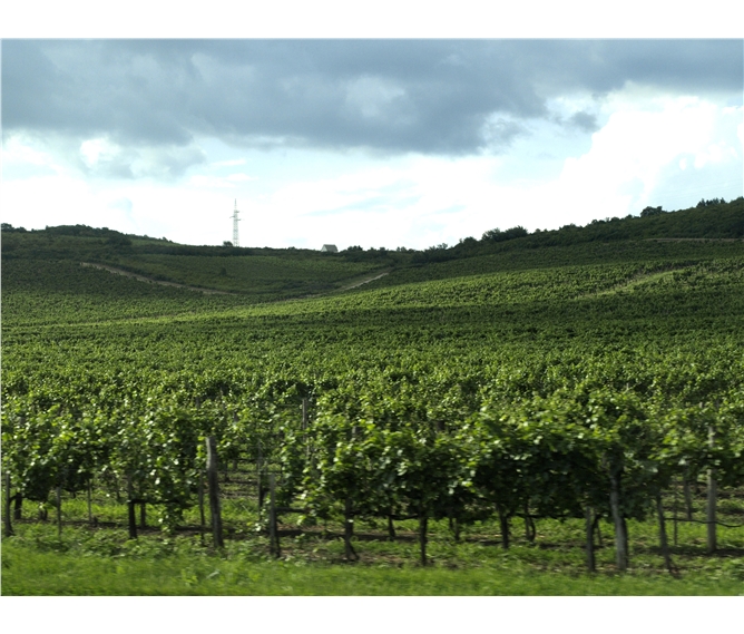Za slávou maďarských vín - Maďarsko - okolí Tokaje, vinohrady a vinohrady, památka UNESCO od roku 2002