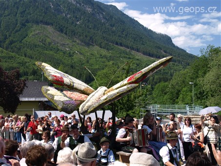 Rakousko - Bad Ausse - Narcisový festival