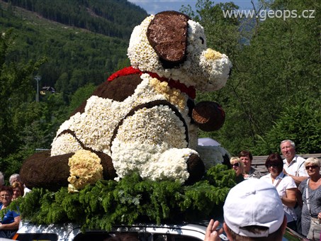 Rakousko - Bad Ausse - Narcisový festival