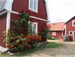 Švédsko - Sandhamn, tradiční domek