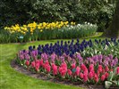 Holandsko  - Keukenhof