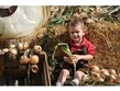 Rakousko - Laa - cibulový festival Zwiebelfest