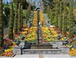 Německo - Mainau - vodní schodiště plné květů