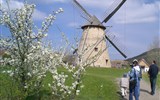 Maďarské slavnosti během roku - přehled - Maďarsko - skanzen Szentendre - větrný mlýn
