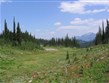 Kanada - NP Mount Revelstoke