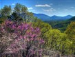 Kanada - Meadow in the Sky Parkway