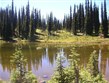 Kanada - Meadow in the Sky Parkway