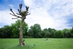 Německo - Kassel - mezinárodní výstava Documenta 13