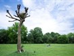 Německo - Kassel - mezinárodní výstava Documenta 13