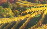 Tajemné jeskyně Slovinska a Itálie, víno a Mořská Laguna - Slovinsko - podzim na vinicích
