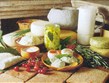 slavnosti vína a gastronomie - Slovinsko - ovčí a kozí sýry