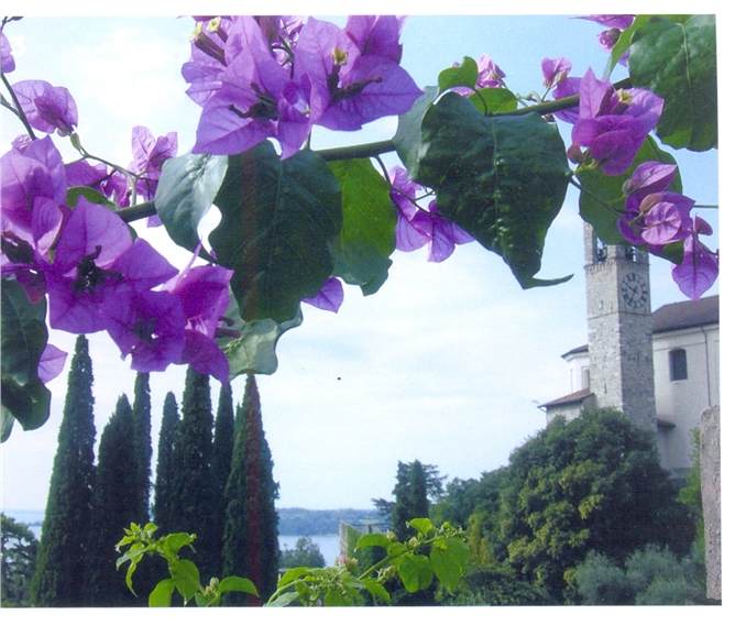 Nejkrásnější italská jezera a zahrady 2019 - Itálie - Lago di Garda - Gardone Riviera