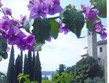 Itálie - Lago di Garda - Gardone Riviera