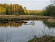 Estonsko - NP Lahemaa - Valgejõgi