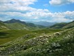 Makedonie - NP Mavrovo - část plochy tvoří náhorní planiny s vysokohorskými loukami