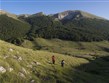 Makedonie - NP Galičica