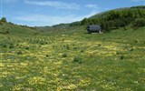 Galičica - Makedonie - NP Galičica - rozkvetlé louky u Kuky