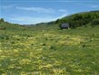Makedonie - NP Galičica - rozkvetlé louky u Kuky