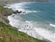 Velká Británie - Wales - NP Pembrokeshire Coast - poloostrov Marloes