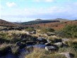 V.Británie - Anglie - NP Dartmoor - Sharpitor