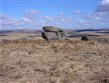 V.Británie - Anglie - NP Dartmoor - rašeliniště Fox Tor
