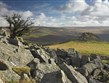 V.Británie - Anglie - NP Dartmoor