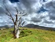 Irsko - NP Connemara