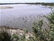 Francie - Provence - Camargue, saliny o rozloze 11.000 ha, ročně 300.000 tun soli
