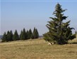 Česká republika - Krušné hory v okolí Božího Daru