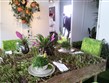 Holandsko - Floriáda 2012